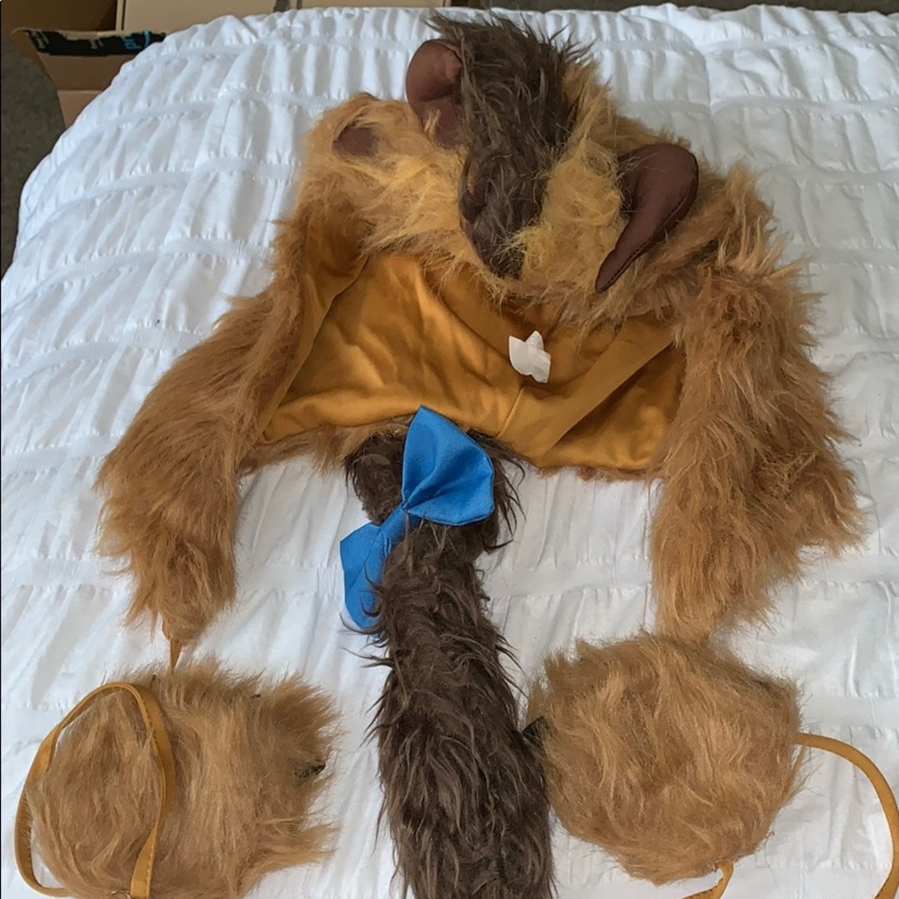 Beauty and the beast Beast costume